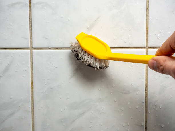 Best Certified Mold Removal  in Carthage, MS