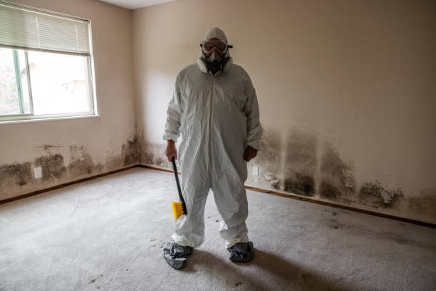 Best Toxic Mold Removal  in Carthage, MS